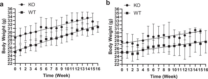 Figure 5—figure supplement 1.