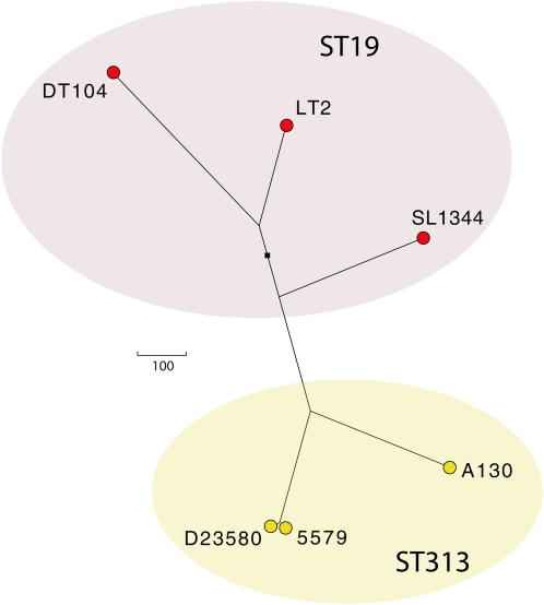 Figure 3.