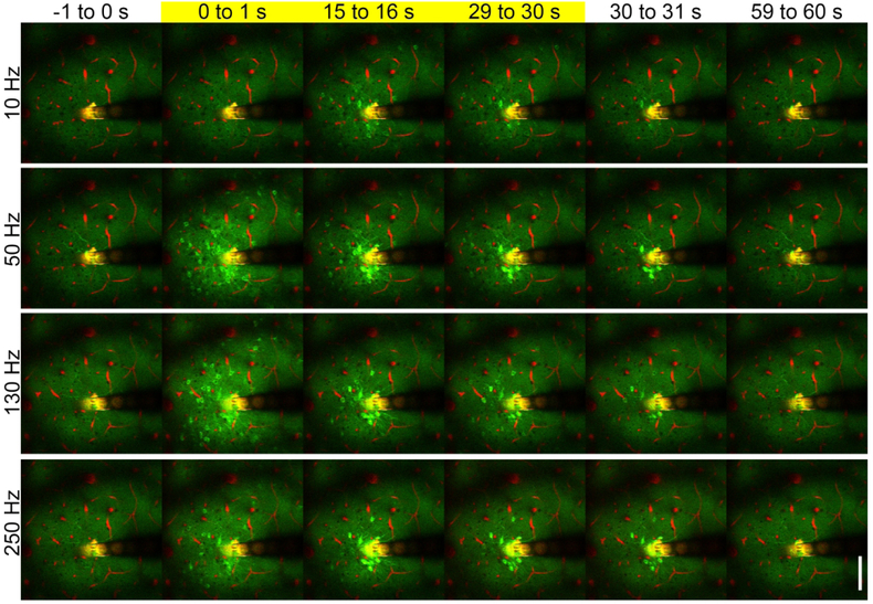 Figure 3: