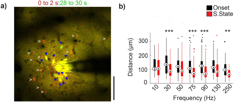 Figure 6: