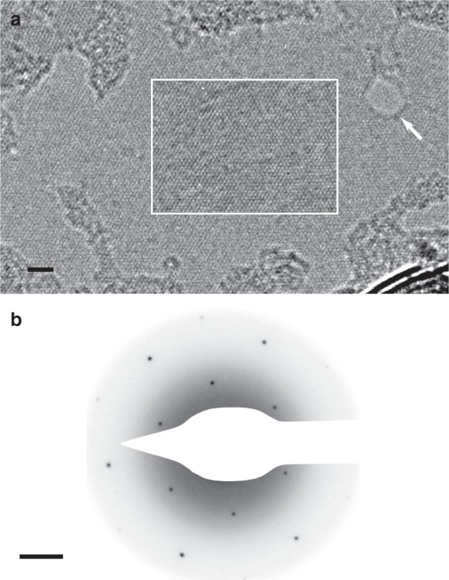 Fig. 3