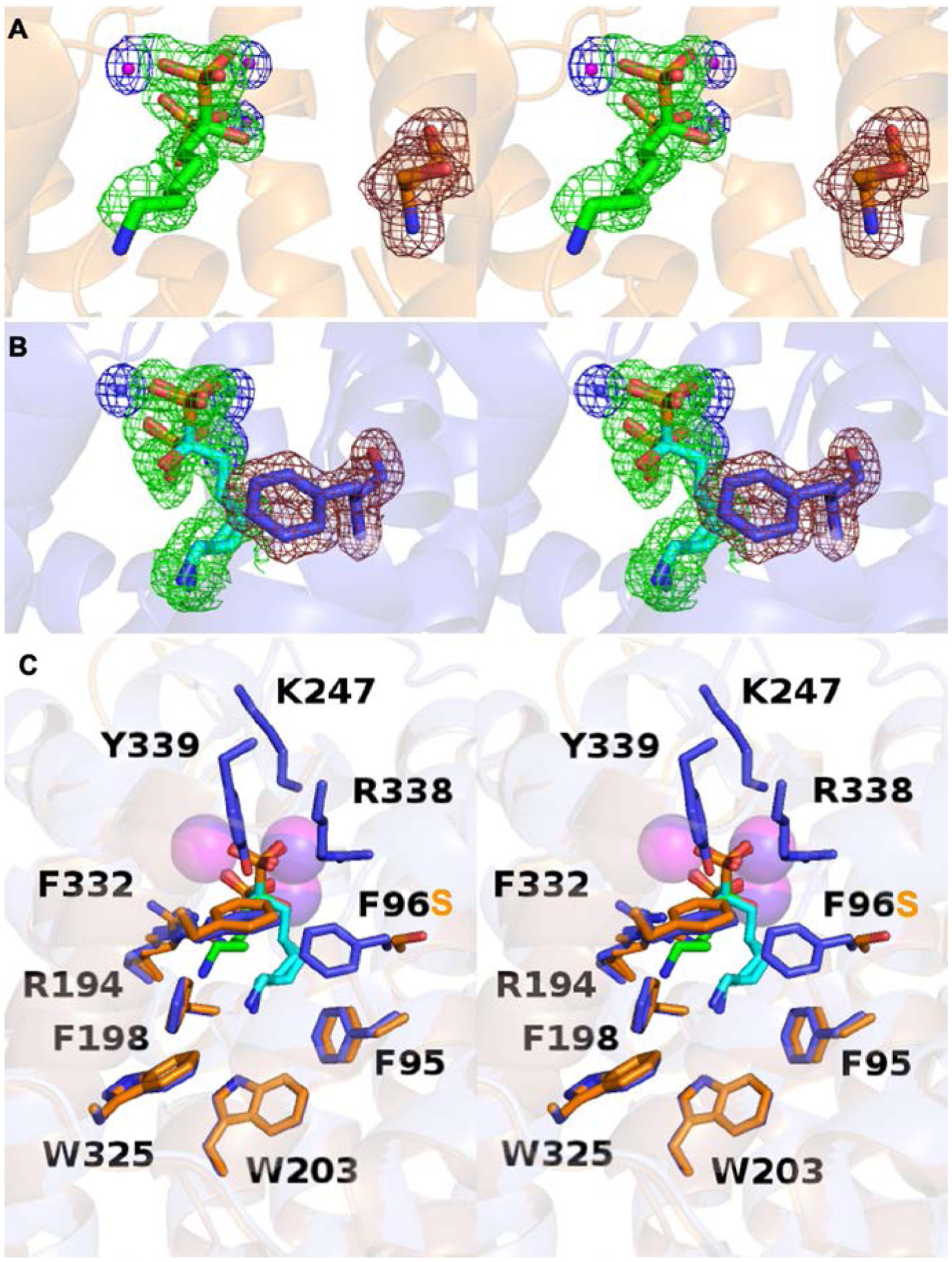 Figure 7.