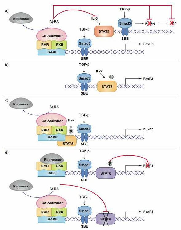 Figure3