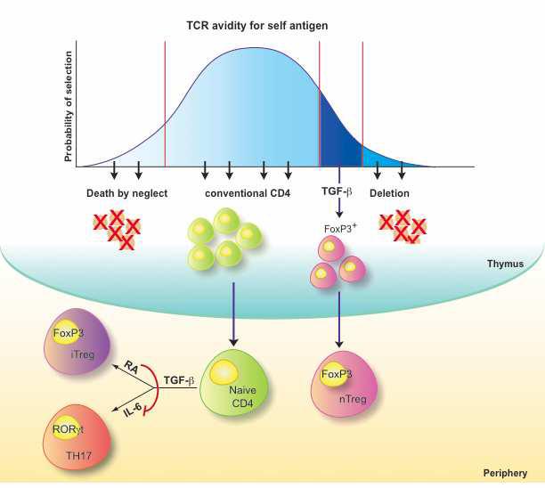 Figure1