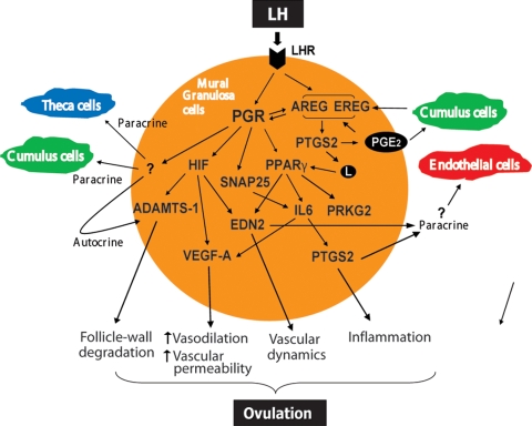 Figure 1: