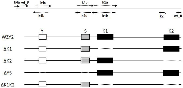 FIGURE 1