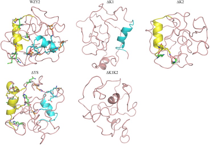 FIGURE 2