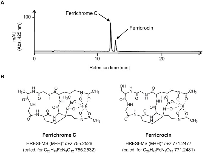 Fig 3