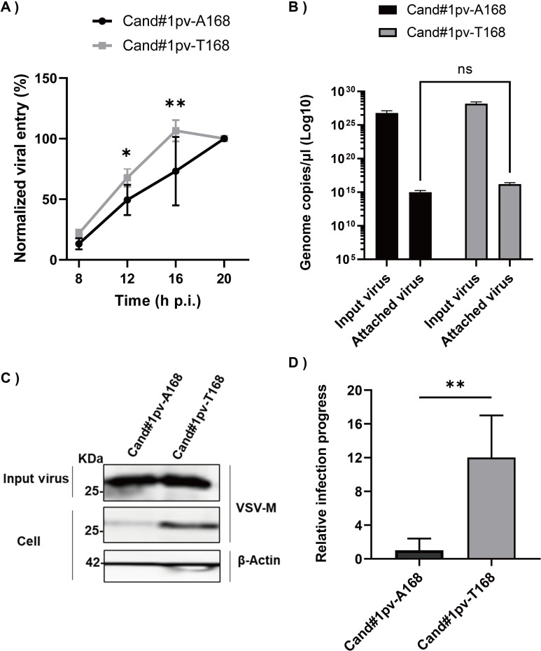 Fig 6