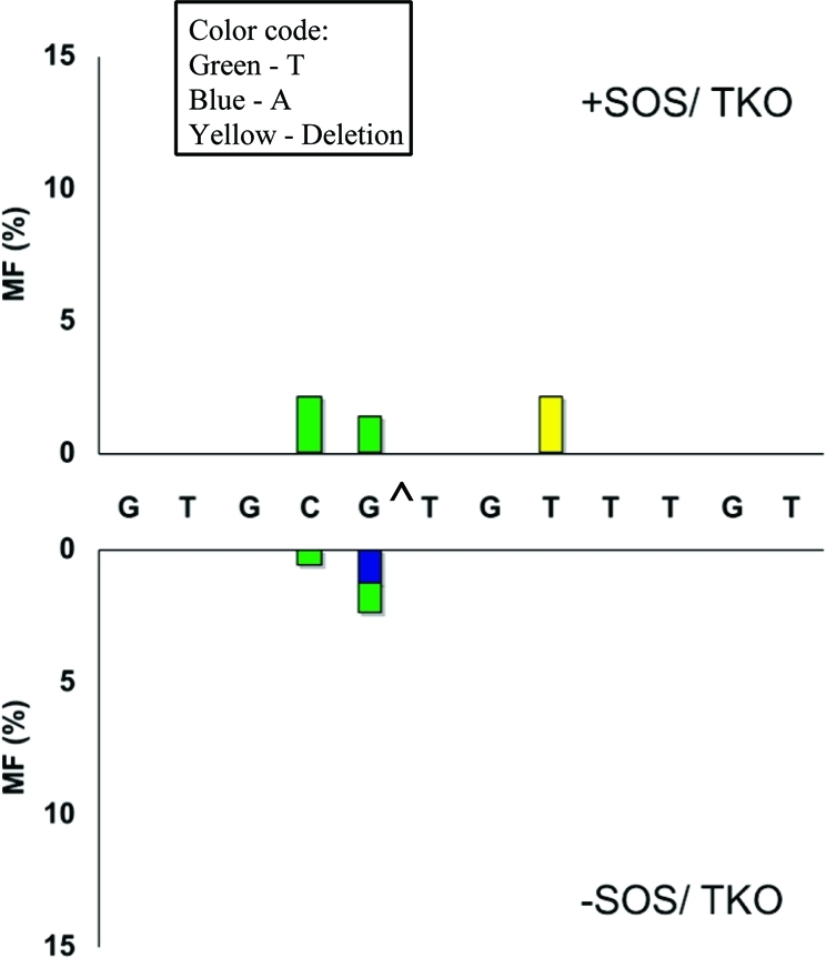 Figure 6