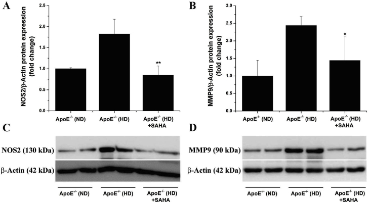 Fig. 8