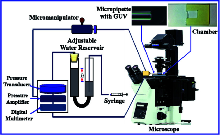 Fig. 3