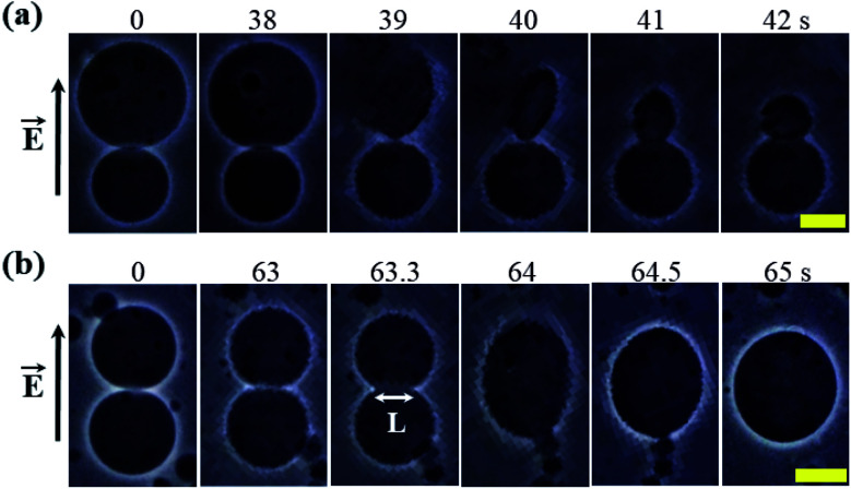 Fig. 13