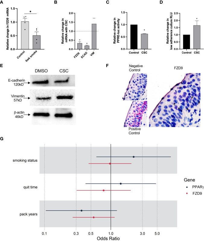 Figure 6