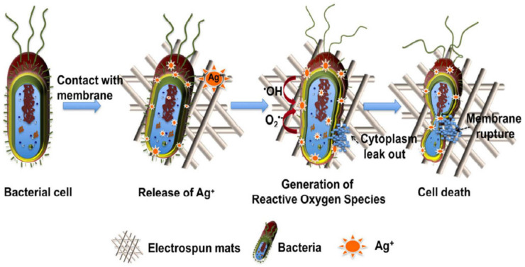 Figure 7