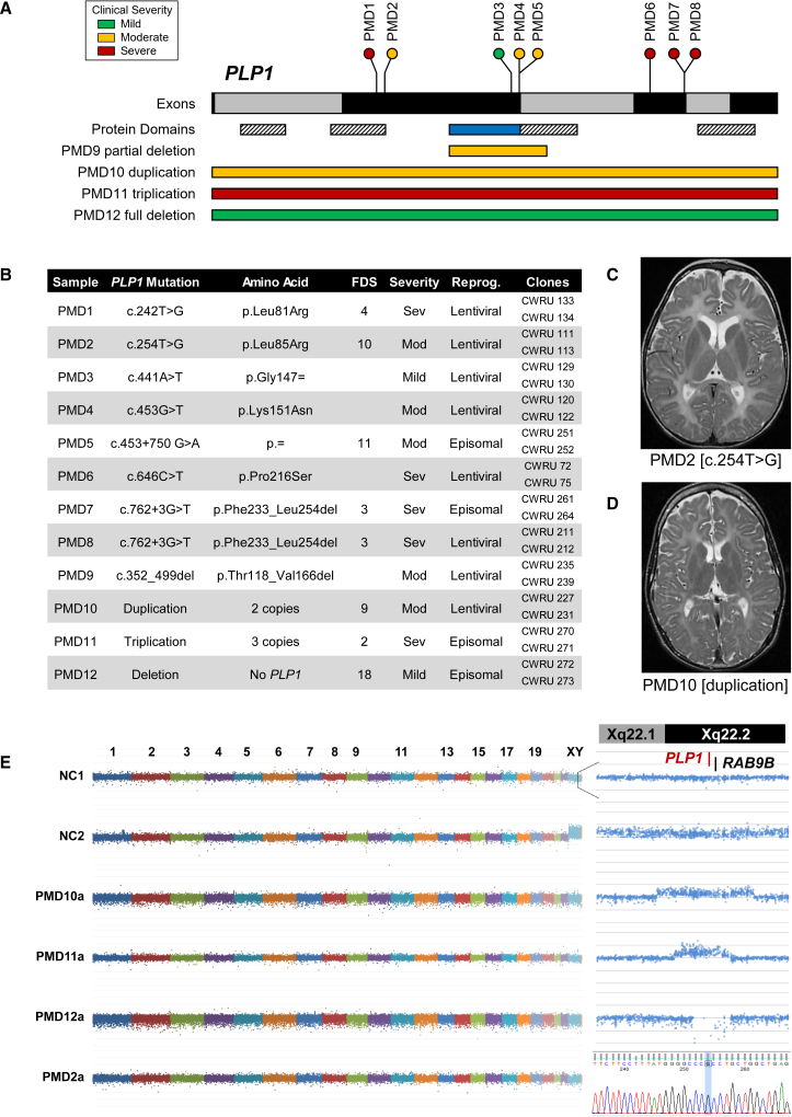 Figure 1