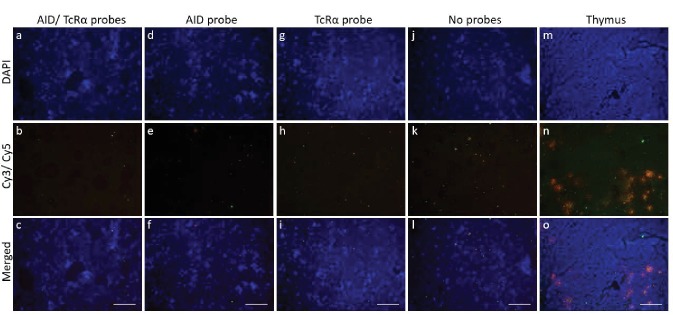 Figure 9—figure supplement 2.