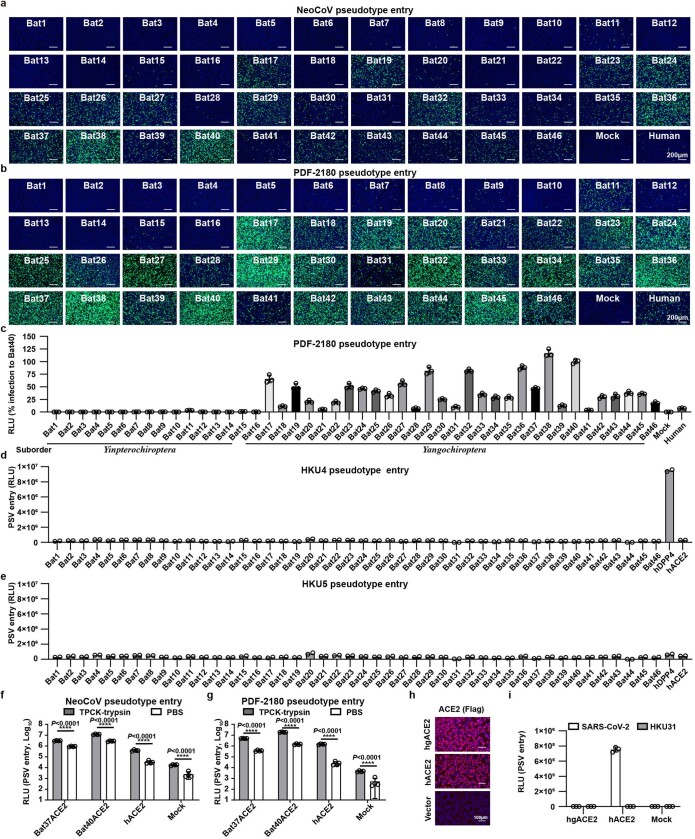 Extended Data Fig. 3