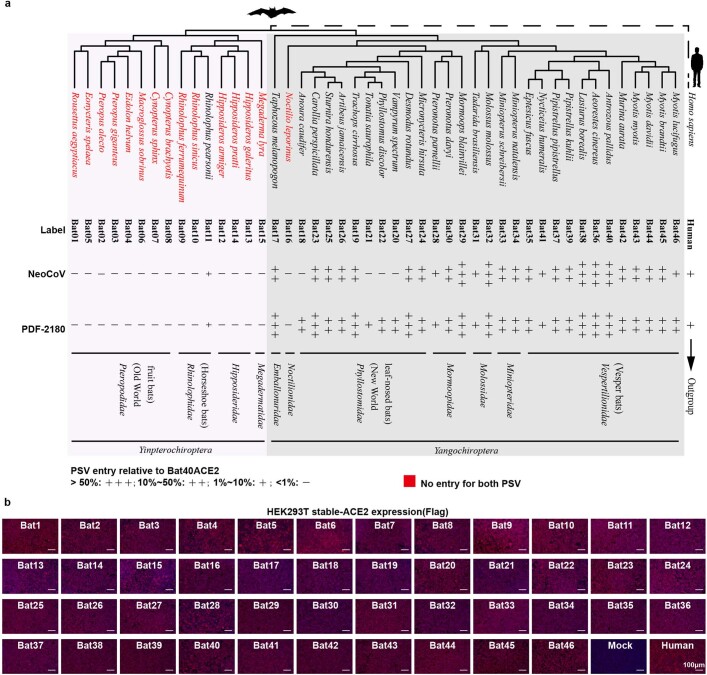 Extended Data Fig. 2