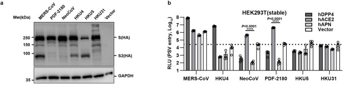 Extended Data Fig. 1