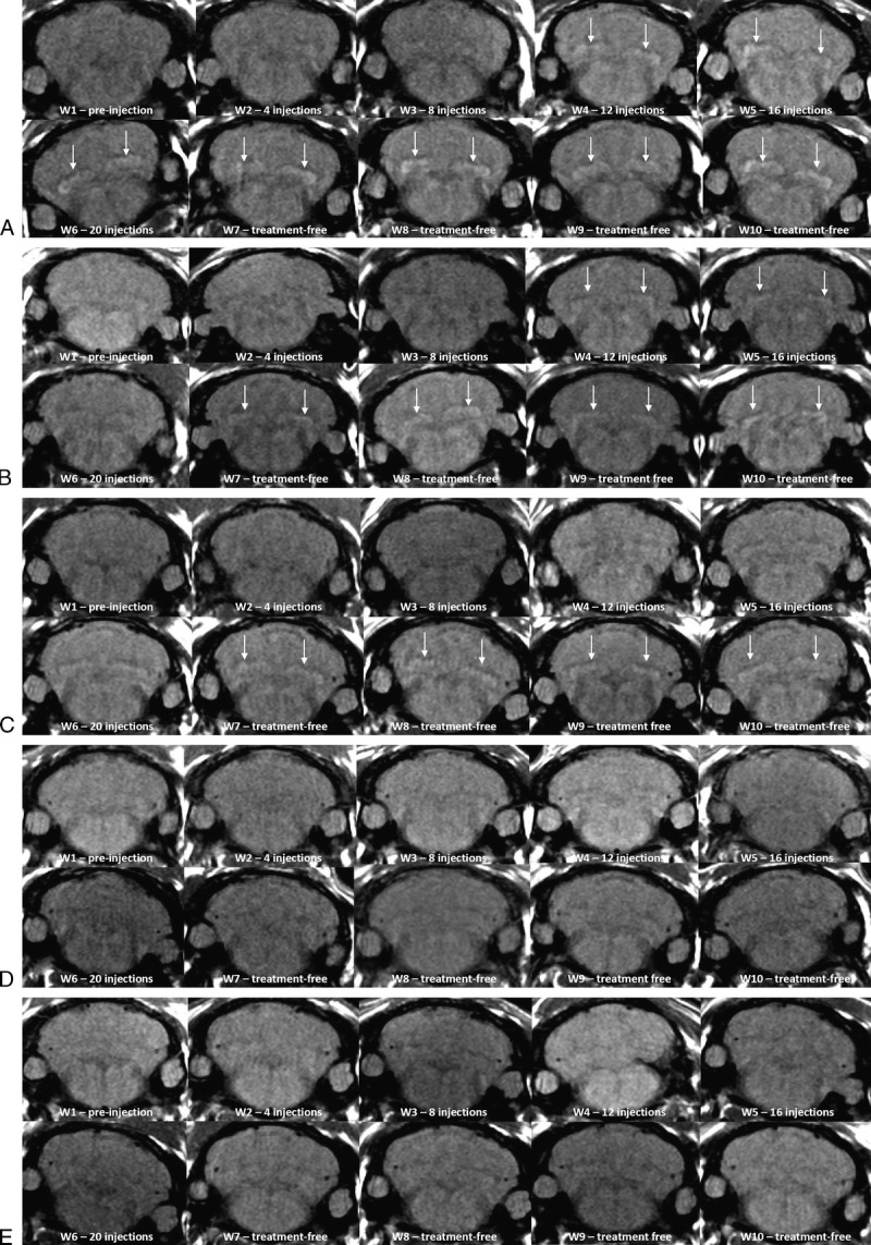 FIGURE 3