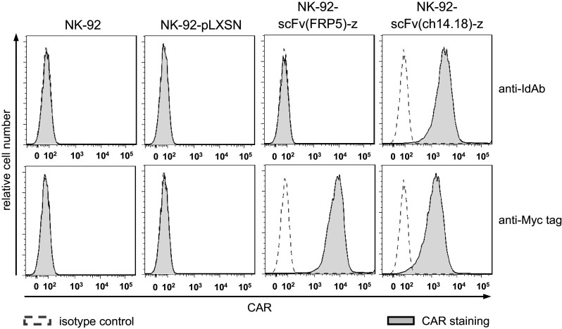 Fig. 1