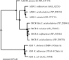 FIG. 6.