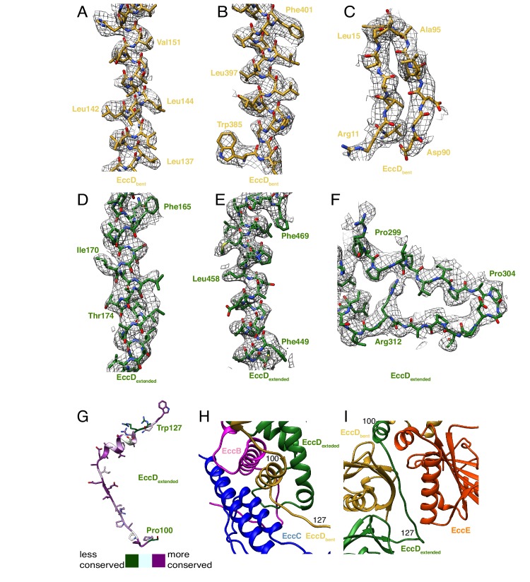 Figure 2—figure supplement 1.