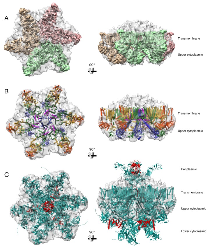 Figure 6—figure supplement 1.