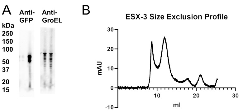 Figure 1—figure supplement 2.