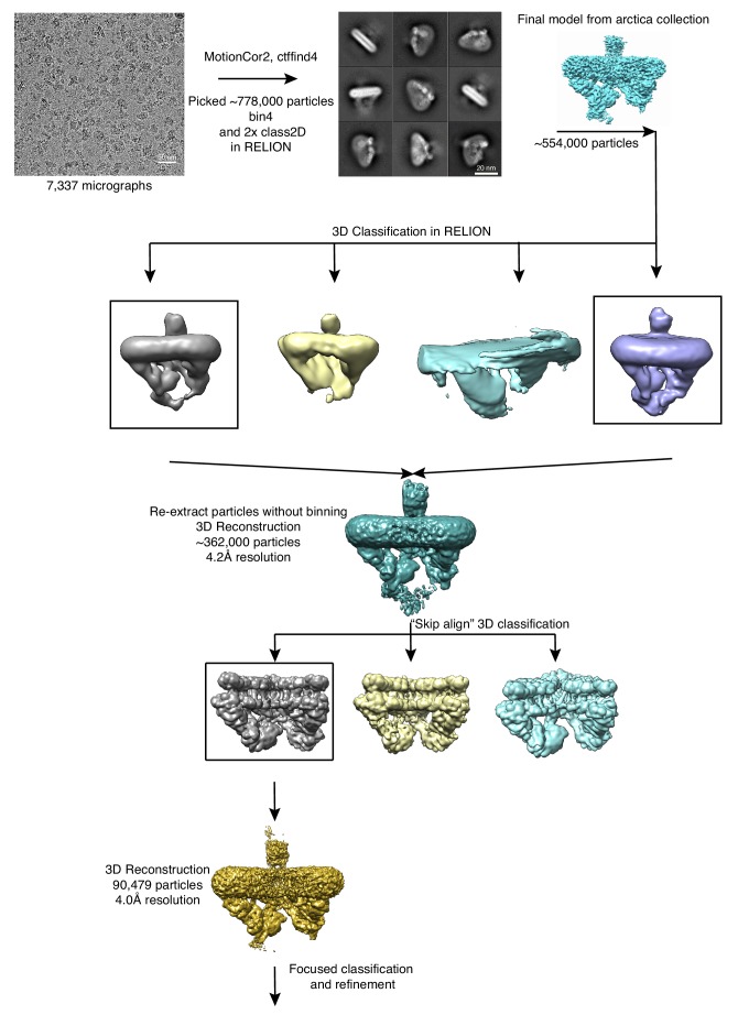 Figure 1—figure supplement 5.