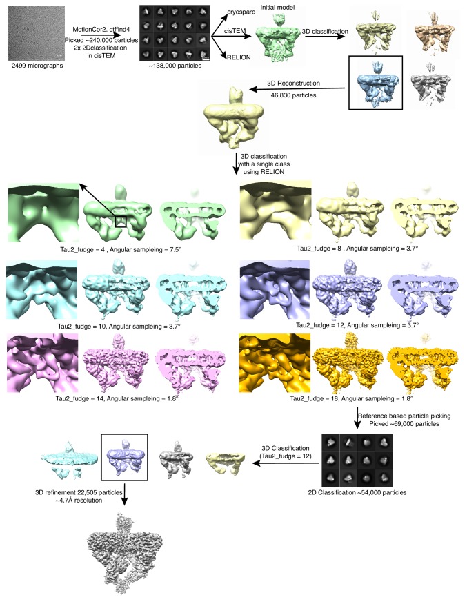 Figure 1—figure supplement 4.