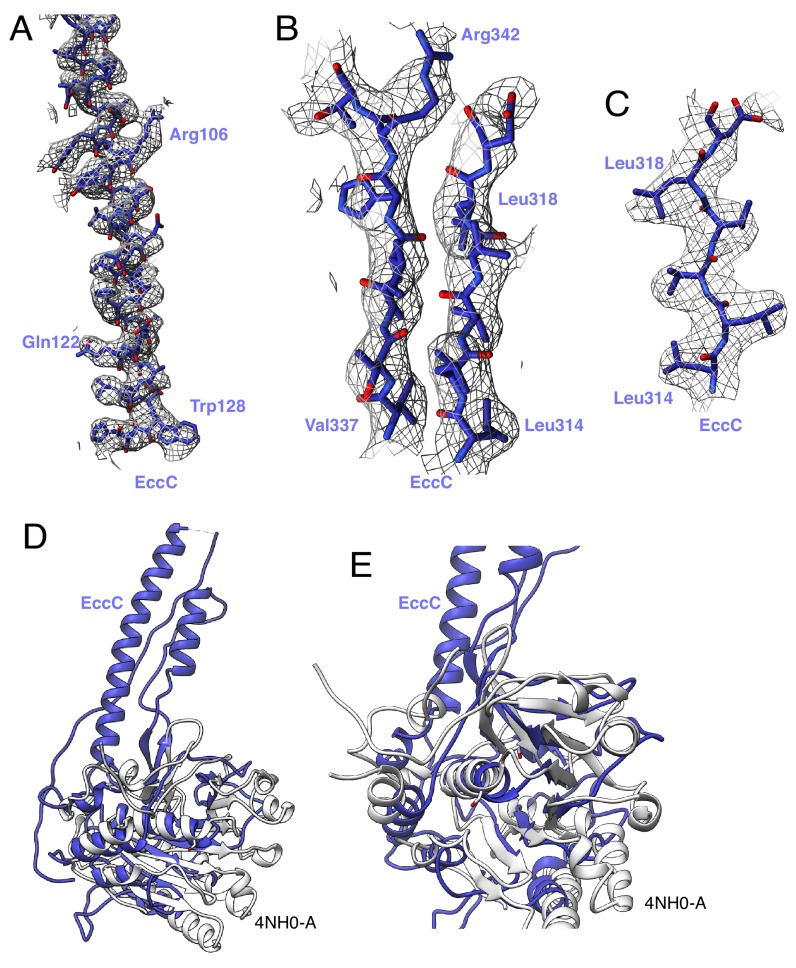 Figure 4—figure supplement 1.