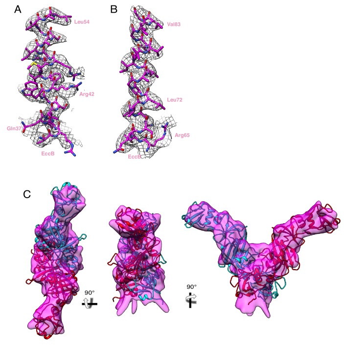 Figure 5—figure supplement 1.