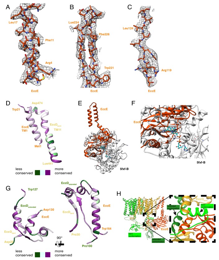 Figure 3—figure supplement 1.