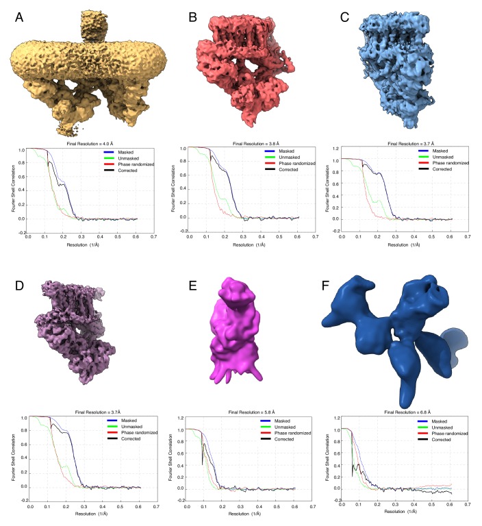 Figure 1—figure supplement 6.