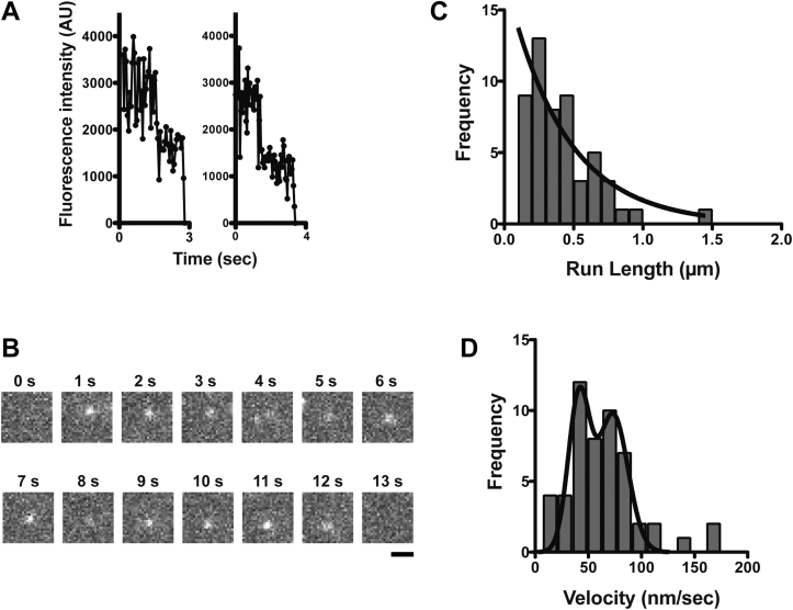 Figure 3