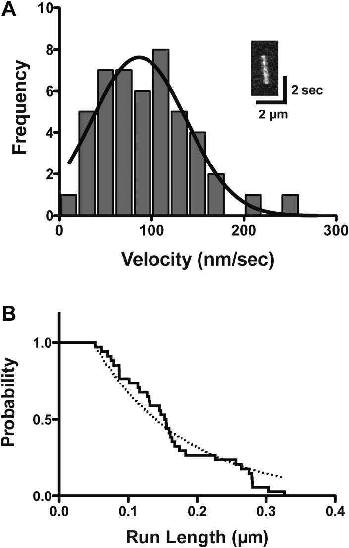 Figure 7