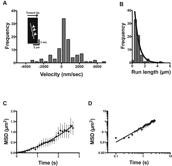 Figure 6