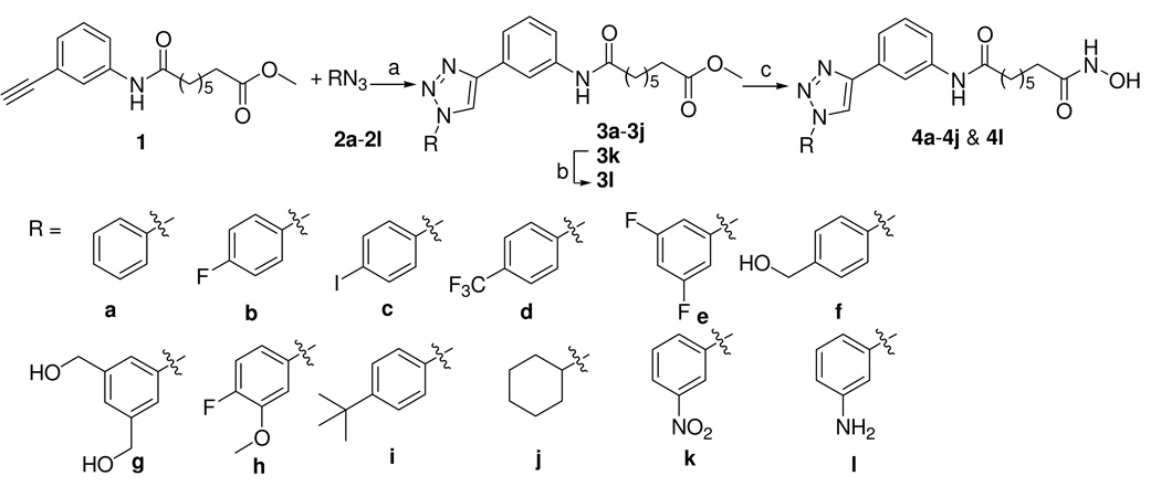 Scheme 1