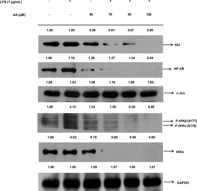 Fig 5