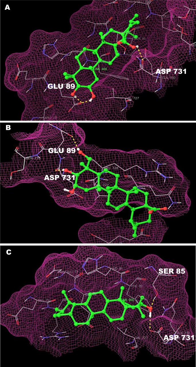 Fig 1