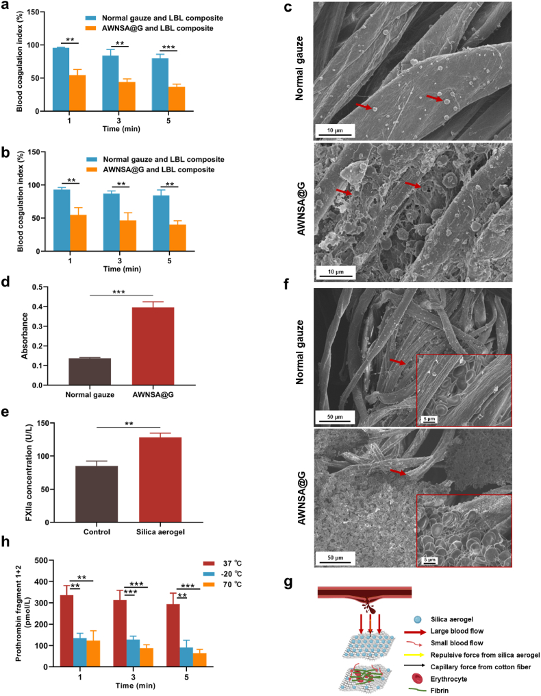 Fig. 11