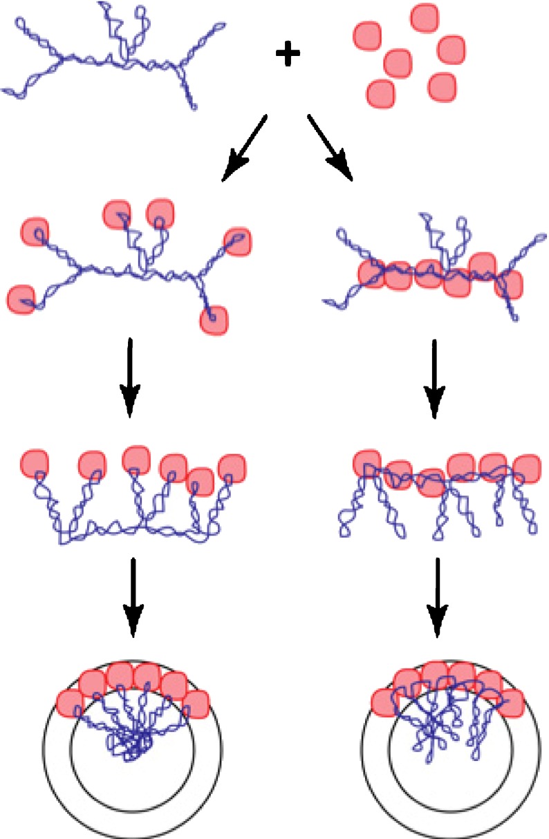 Fig. 7