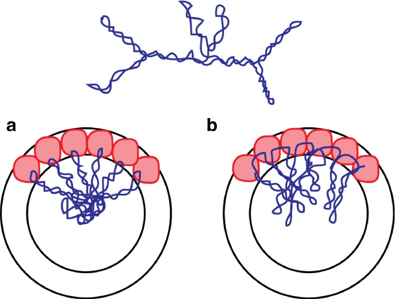 Fig. 1