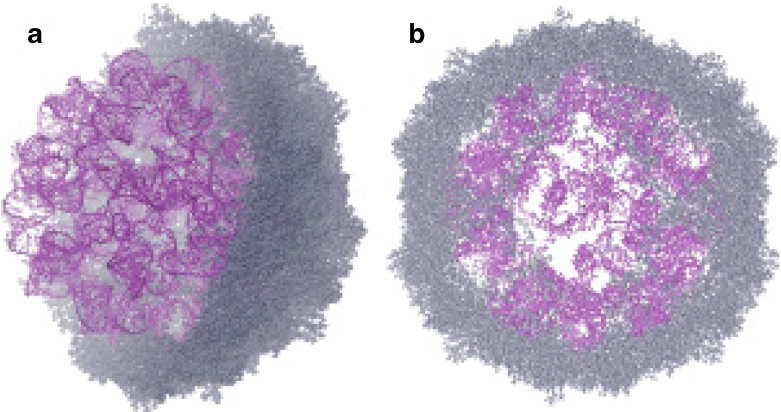 Fig. 6