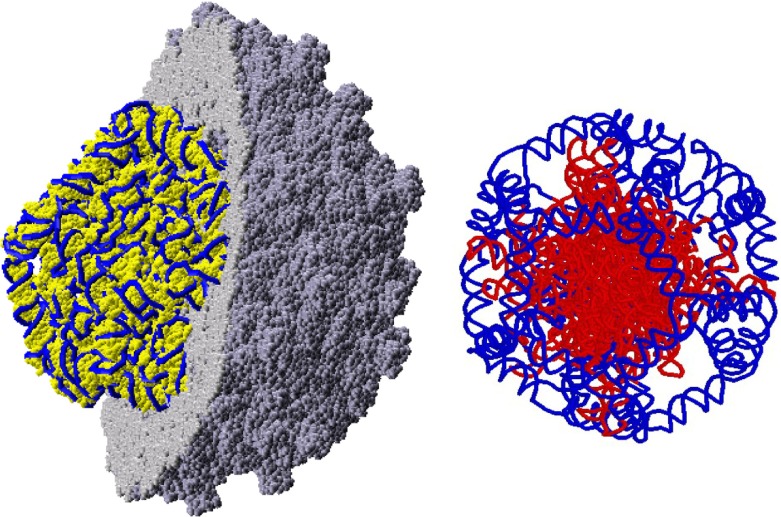 Fig. 3