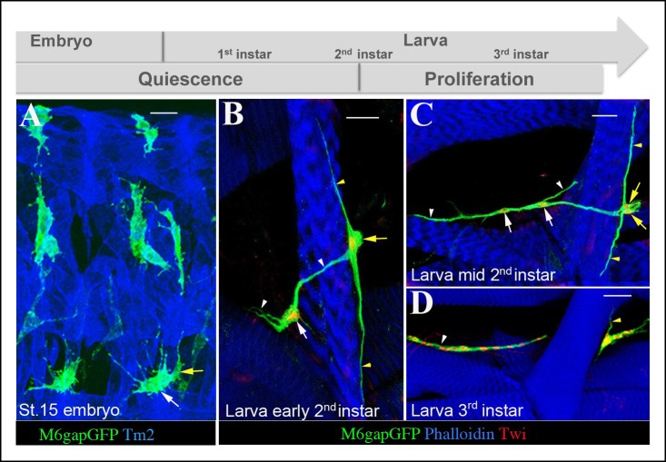 Figure 3.