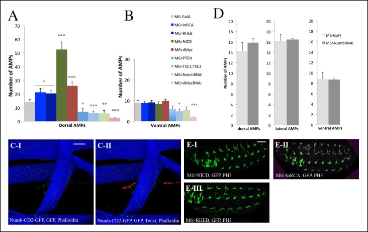 Figure 4—figure supplement 1.