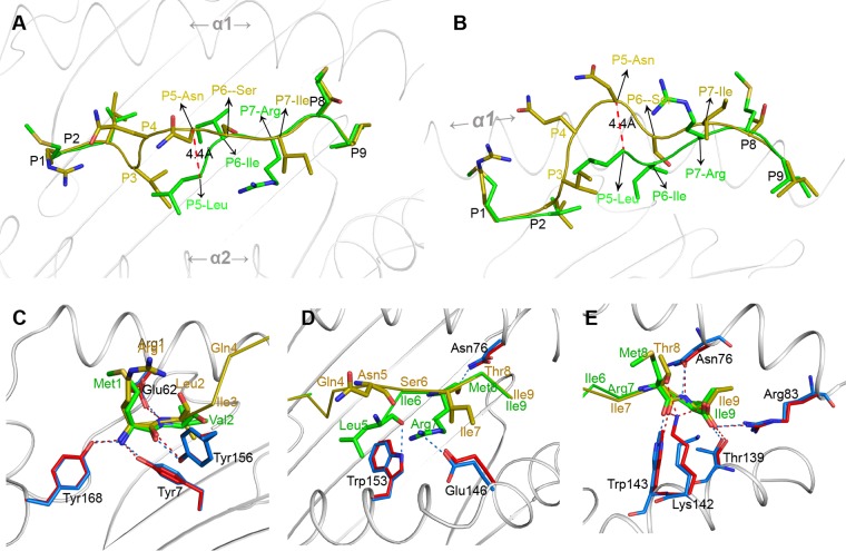 FIG 6